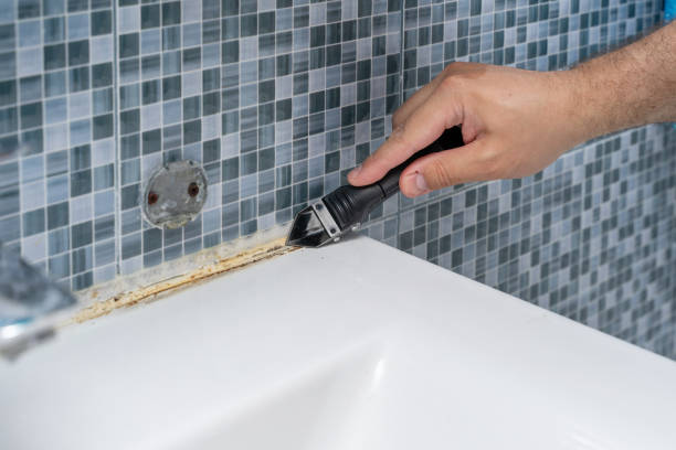 Best White Mold Remediation in Pittsfield, IL