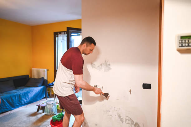 Best Mold Remediation for Schools in Pittsfield, IL